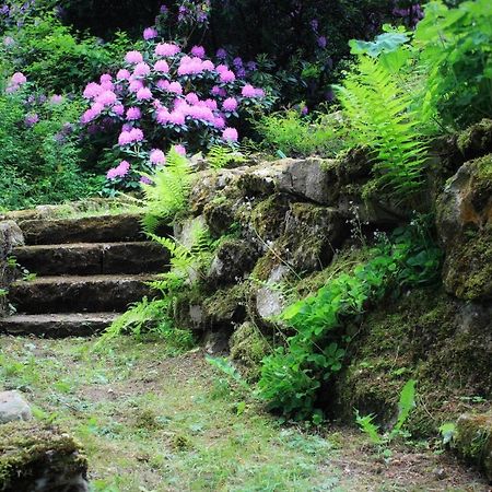 Villa Brodthage, App. 4 Walkenried Esterno foto