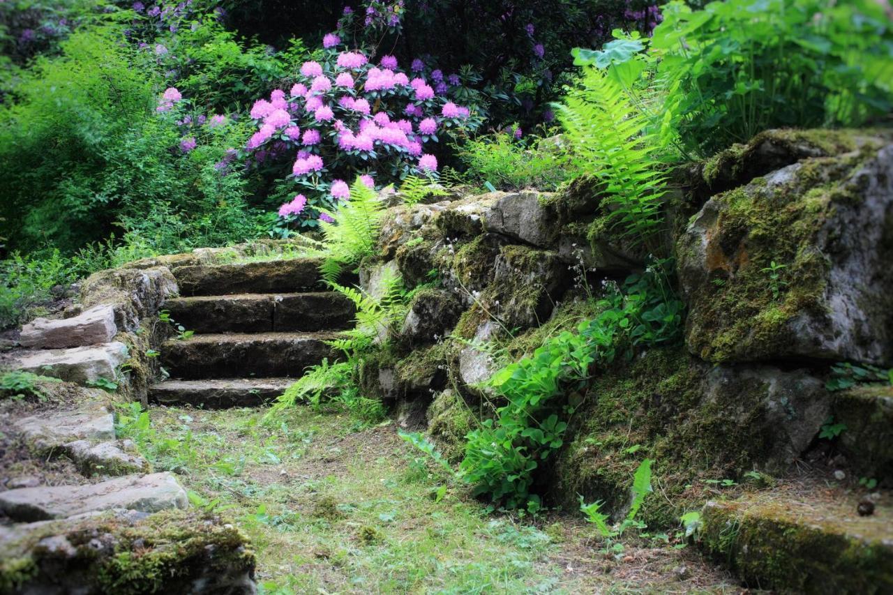 Villa Brodthage, App. 4 Walkenried Esterno foto